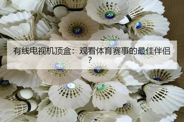 有线电视机顶盒:观看体育赛事的最佳伴侣?